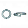 D127B SPRING WASHER DOT DIPPED GALVANIZED M42 (25)