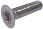 ISO 14581 8.8 VK SCHROEF TORX VERZINKT M3X6 TX10 (500)