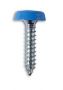 POLYTOPS NUMBER PLATE SCREWS BLUE (4,8X19 NO10X3/4 (100PCS)