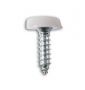 POLYTOPS NUMBER PLATE SCREWS WHITE (4,8X19 NO.10X3/4 (100PCS)