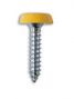 POLYTOPS NUMBER PLATE SCREWS YELLOW (4,8X19 NO.10X3/4 (100PCS)